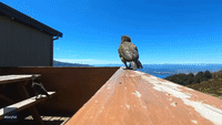 IMG_5812.gif