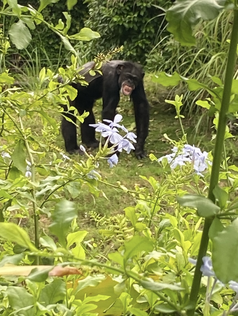 IMG_6270.jpeg
