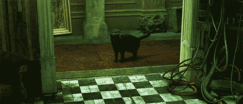 IMG_7263.gif
