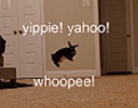 IMG_8957.jpeg