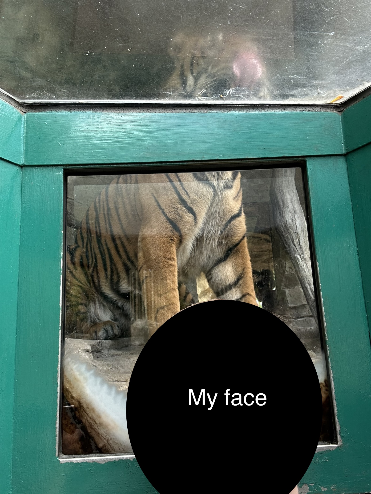 IMG_9766.jpeg
