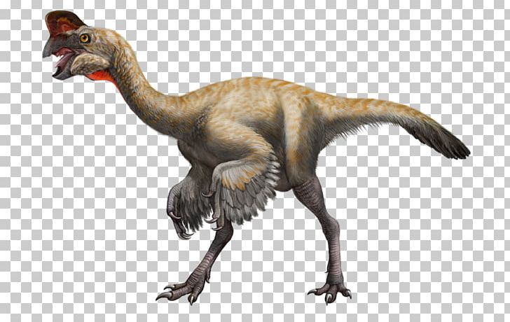 imgbin-velociraptor-struthiomimus-oviraptor-styracosaurus-muttaburrasaurus-dinosaurs-XTQiu63kG...jpg