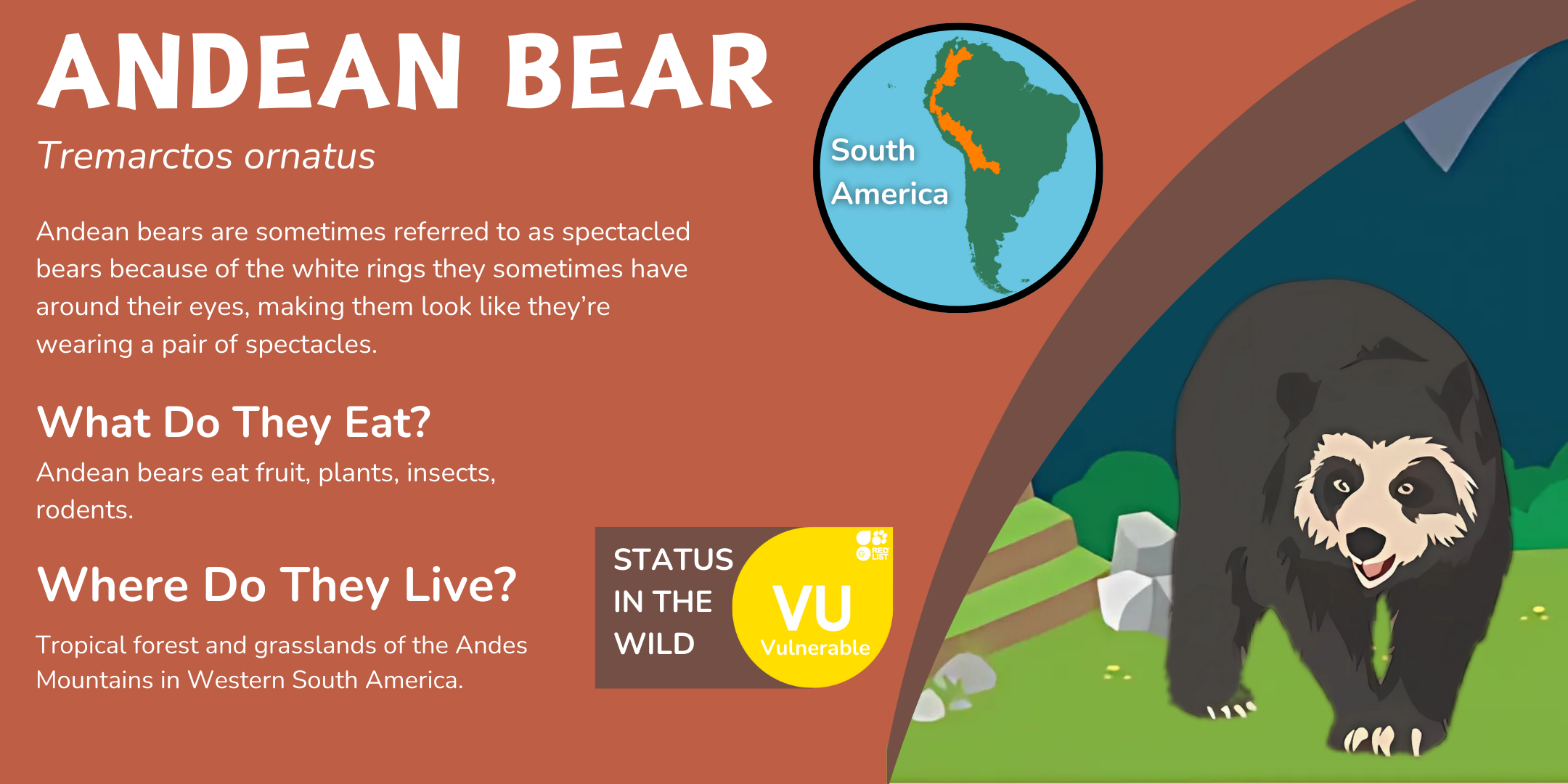 Incatrail Andeanbearinfo.png
