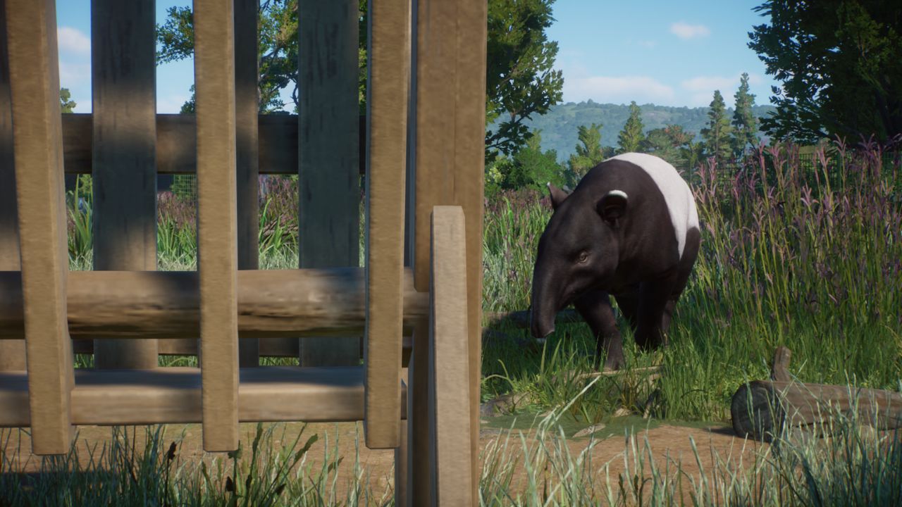 INSECT GARDENS.jpg