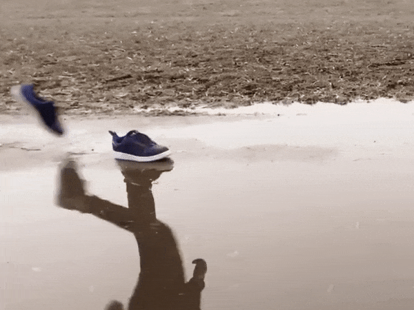 invisibleGif.gif