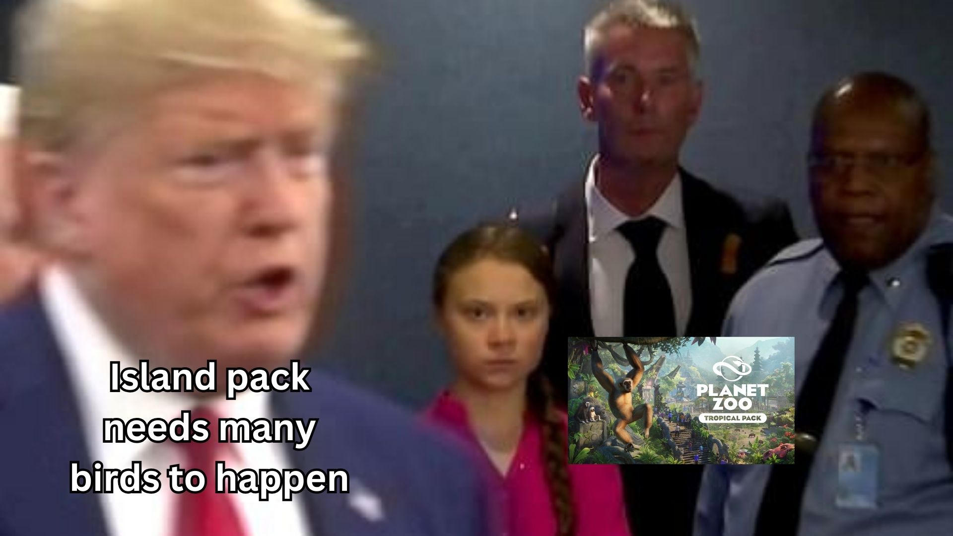 Island pack needs many birds to happen.jpg
