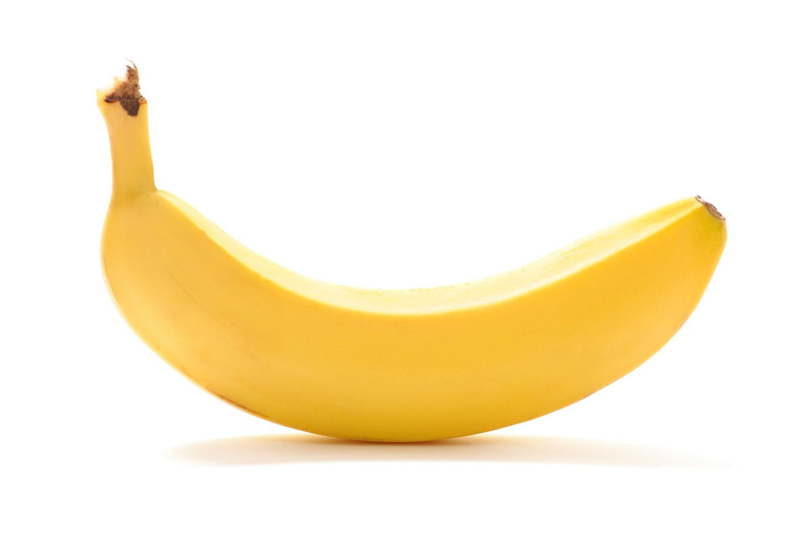 istock-183380744.jpg