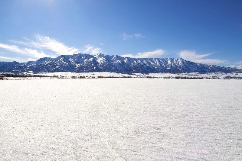 iStock_000000562701_Large.jpg