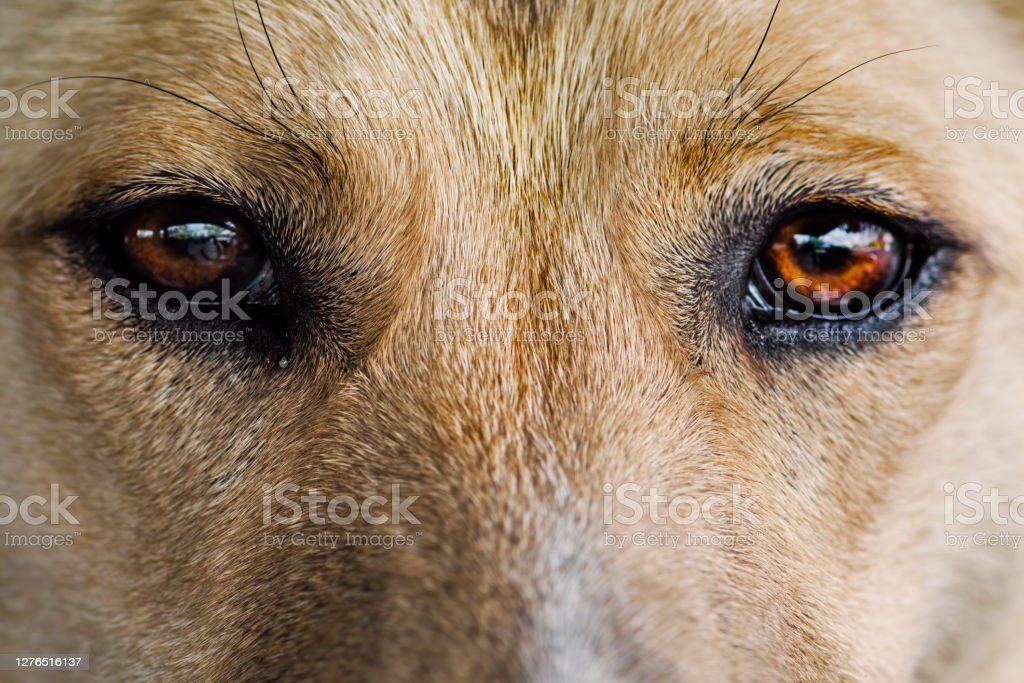 istockphoto-1276516137-1024x1024.jpg