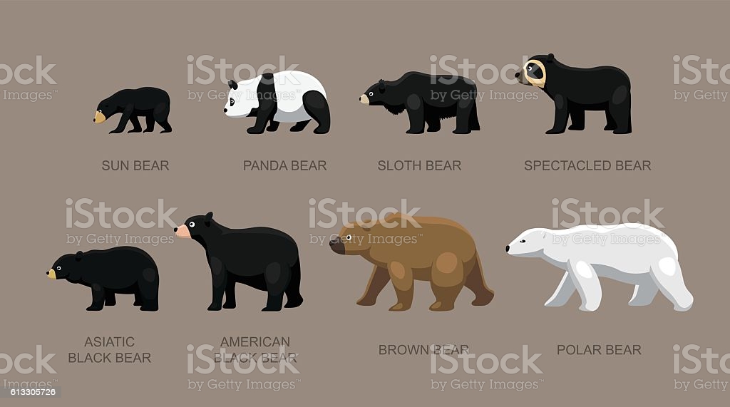 istockphoto-613305726-1024x1024.jpg