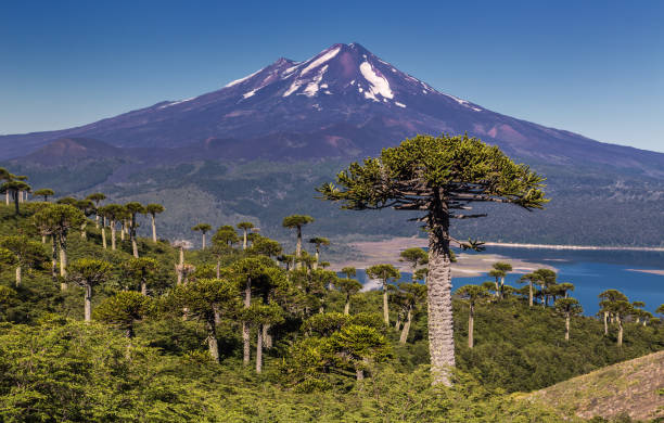 istockphoto-844474758-612x612.jpg