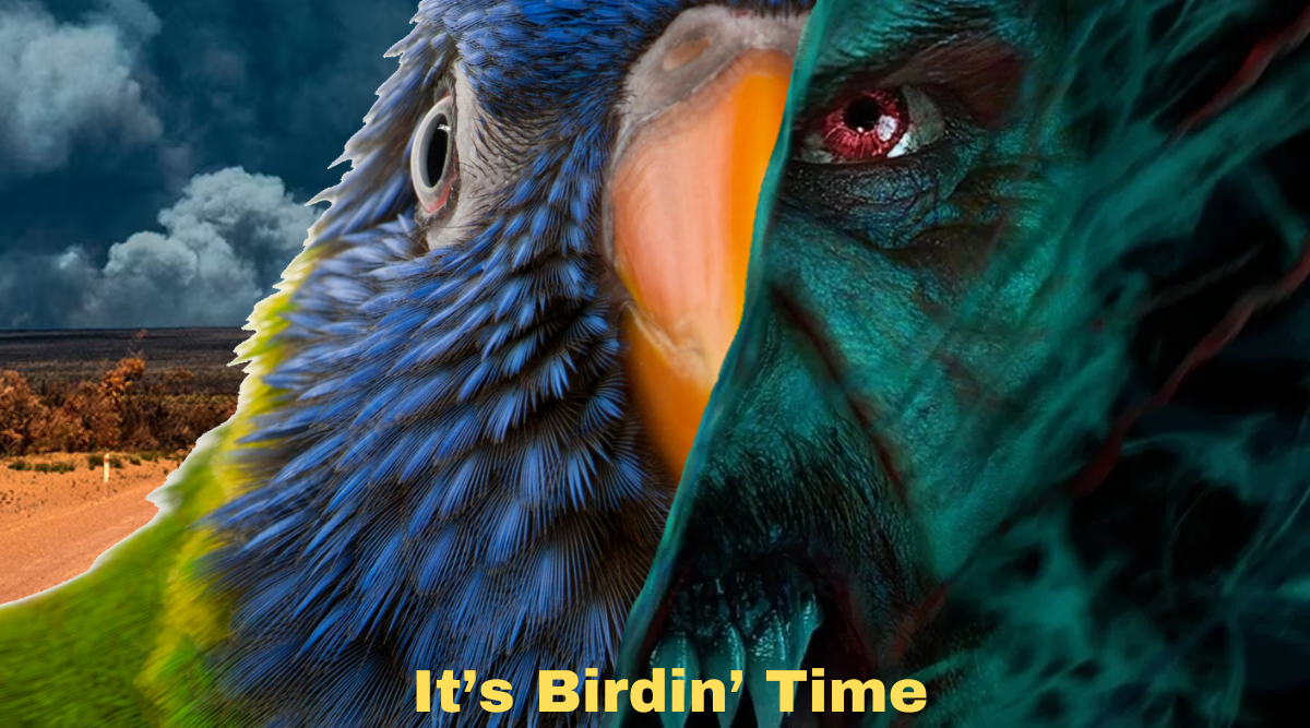 It’s Birdin’ Time.png