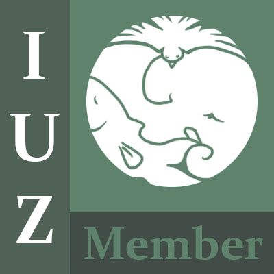 IUZ Logo.jpg