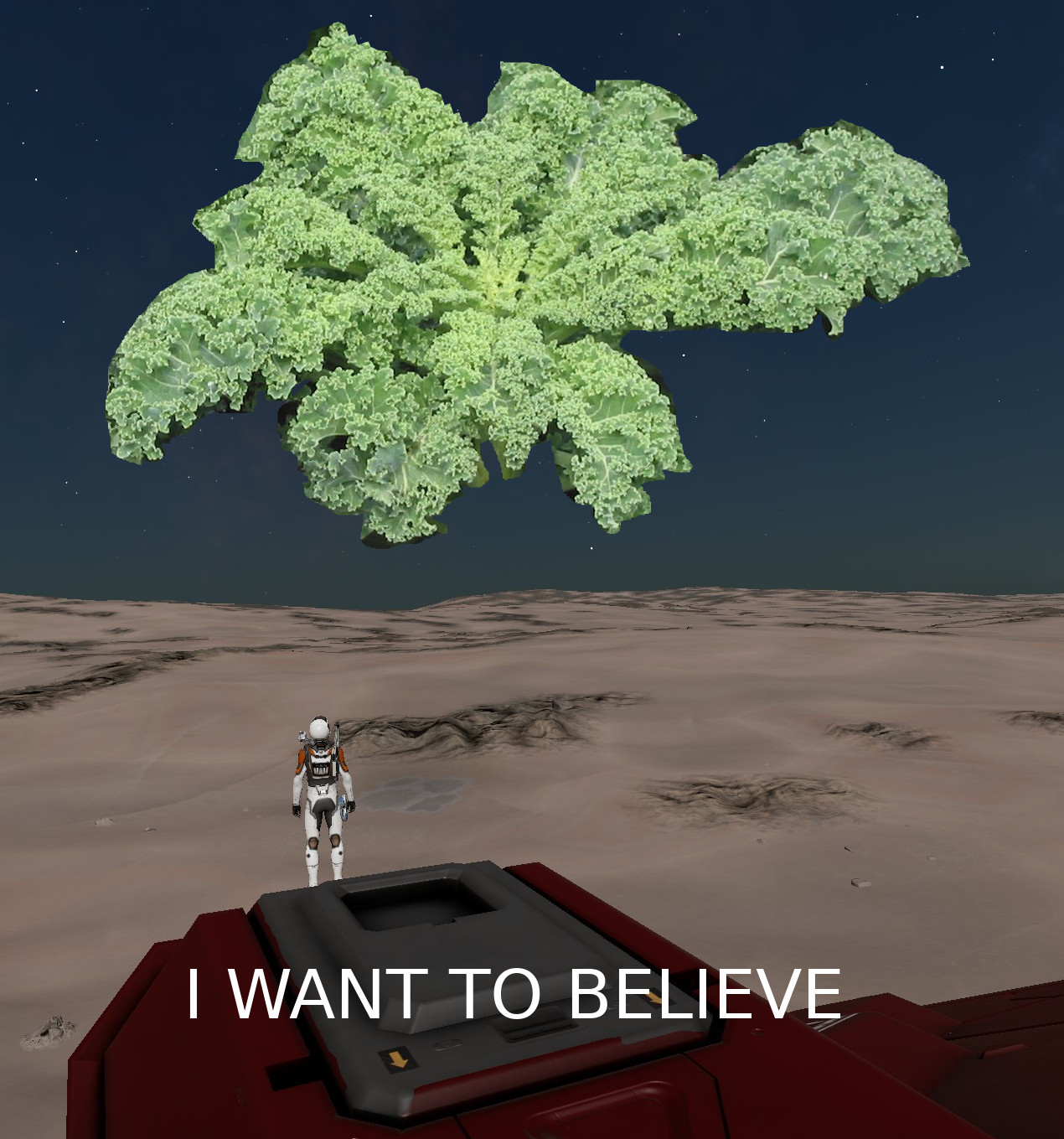 IWTB.jpg
