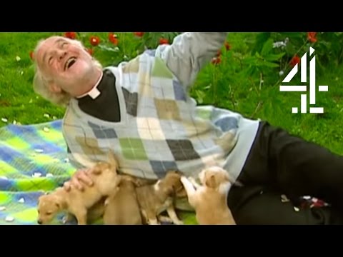 Jack Puppies.jpg