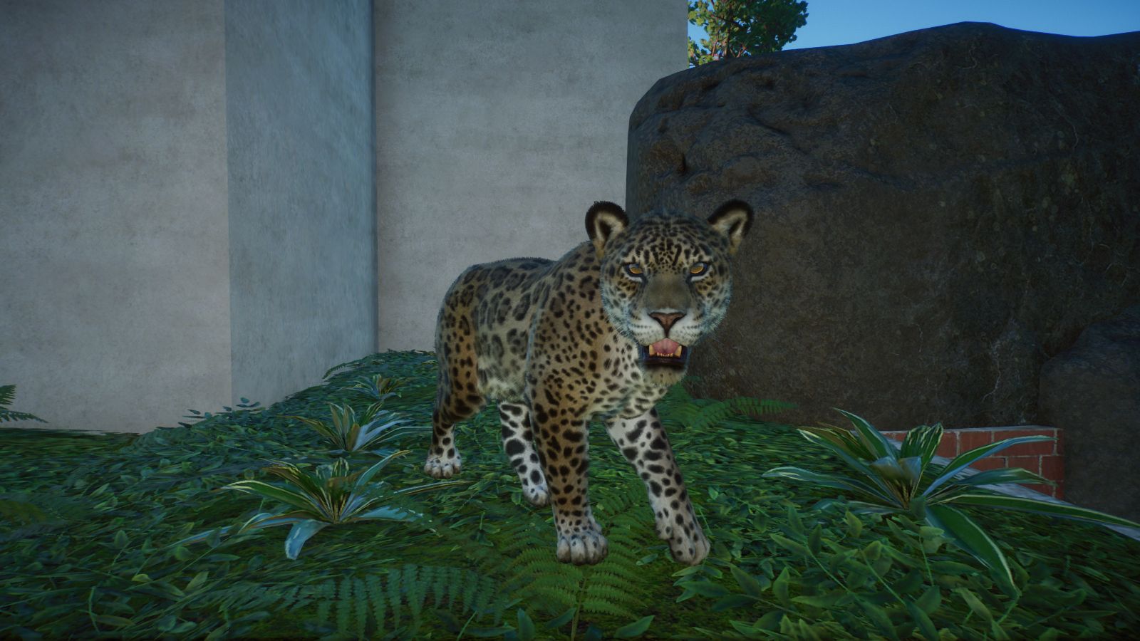 Jaguar.jpg