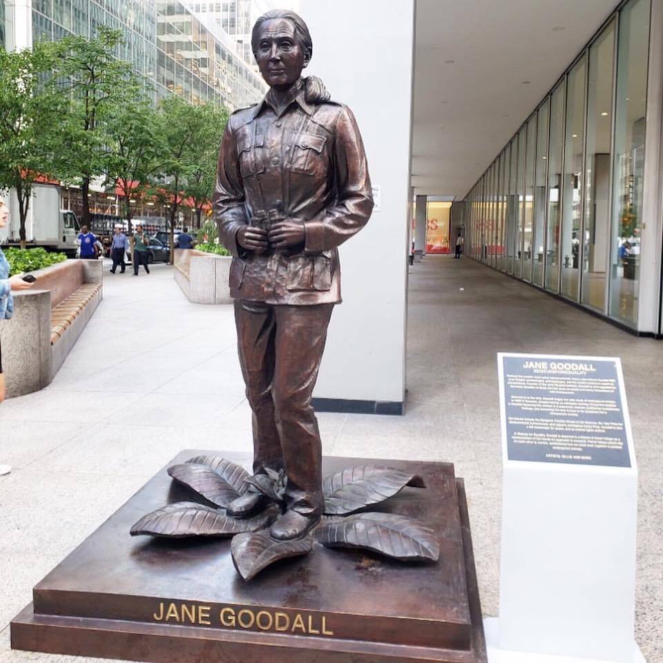 Jane Goodall 1.jpg