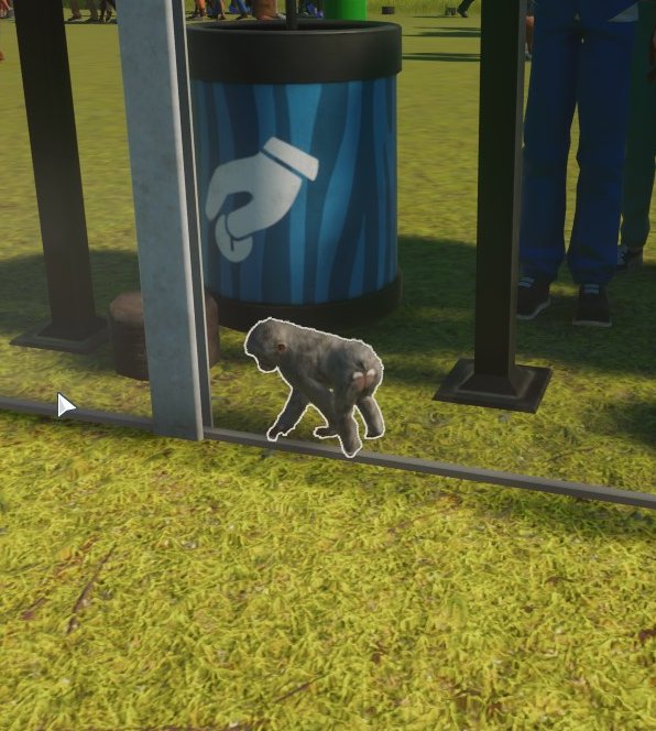 .jpg