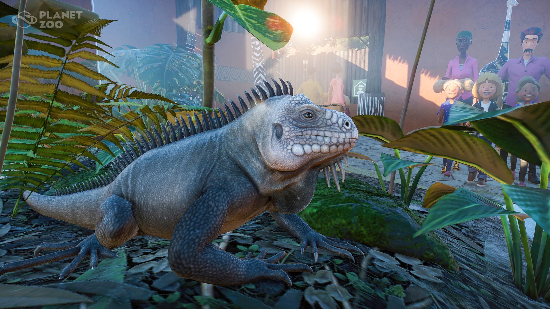 july14_iguana-jpg.139051