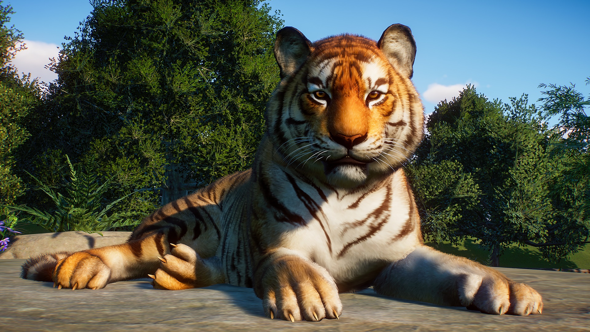 July29_BengalTiger.jpg