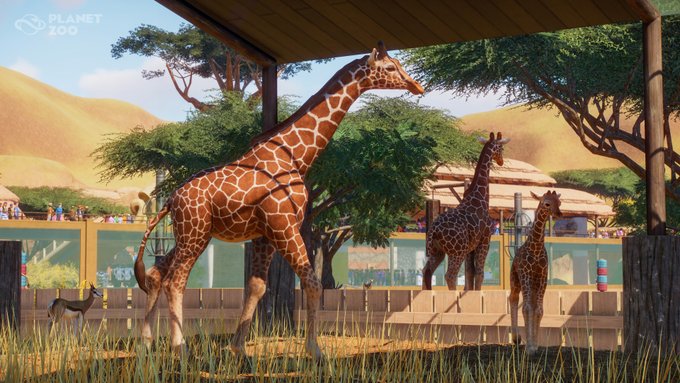 july9_reticulatedgiraffe-jpg.139048