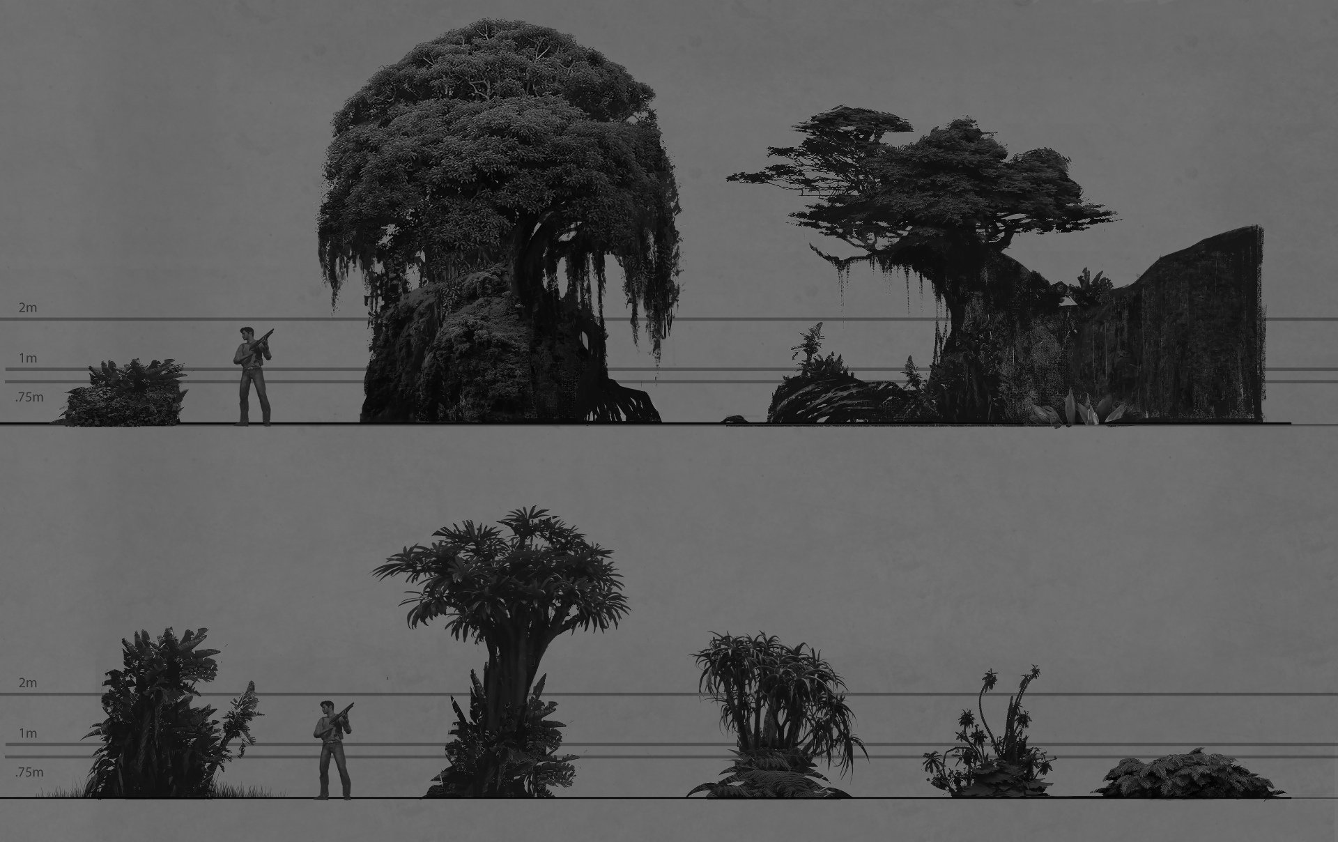 jungle8812.jpg
