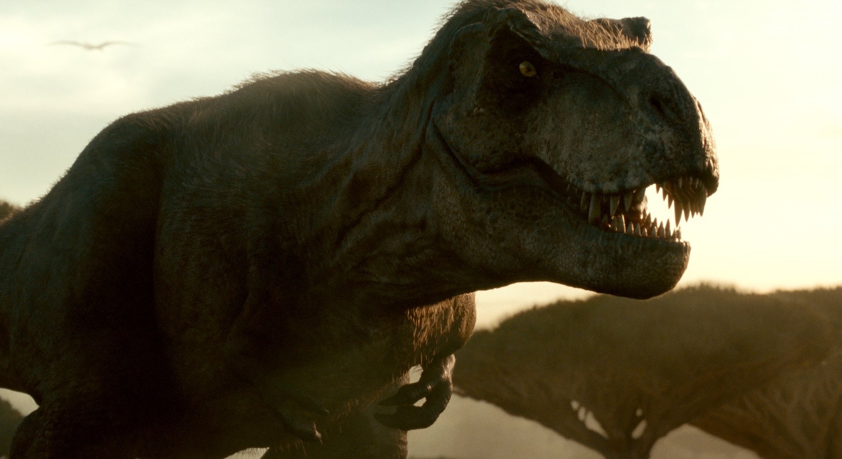 T. Rex remodel | Frontier Forums