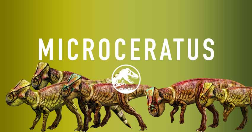 jurassic-world-microceratus-share.jpg