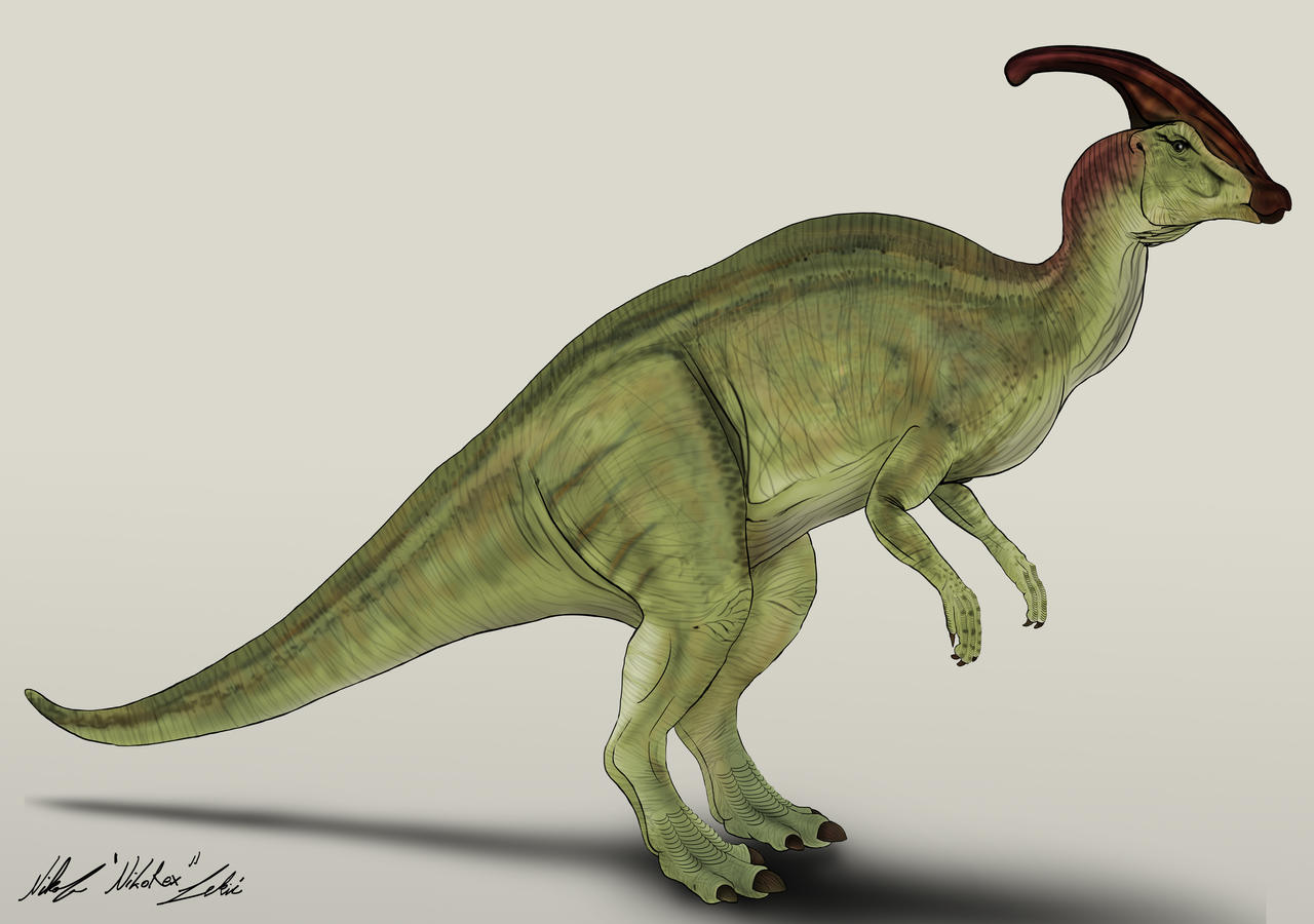 jurassic_park_____parasaurolophus_by_nikorex_dcz664m-fullview.jpg