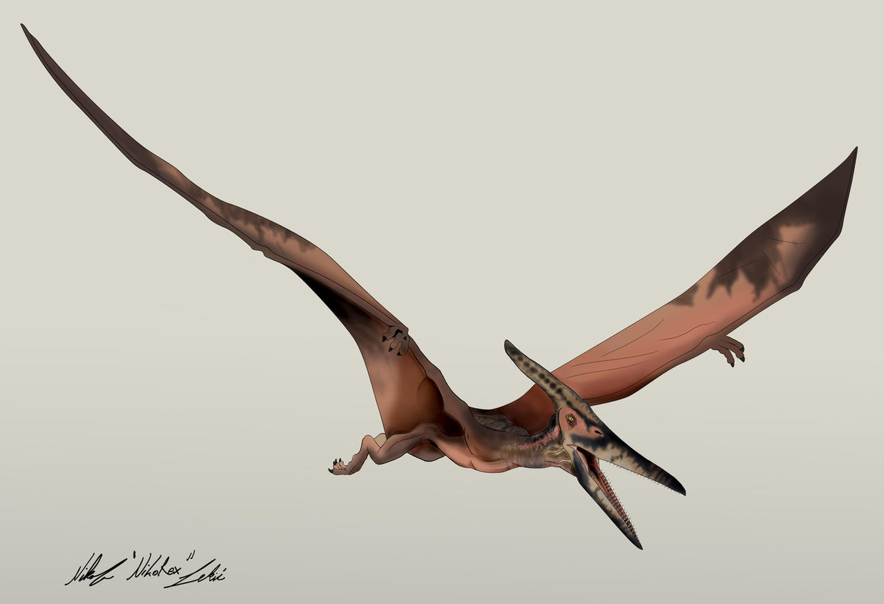 jurassic_park_____pteranodon_by_nikorex_dczra4a-fullview.jpg
