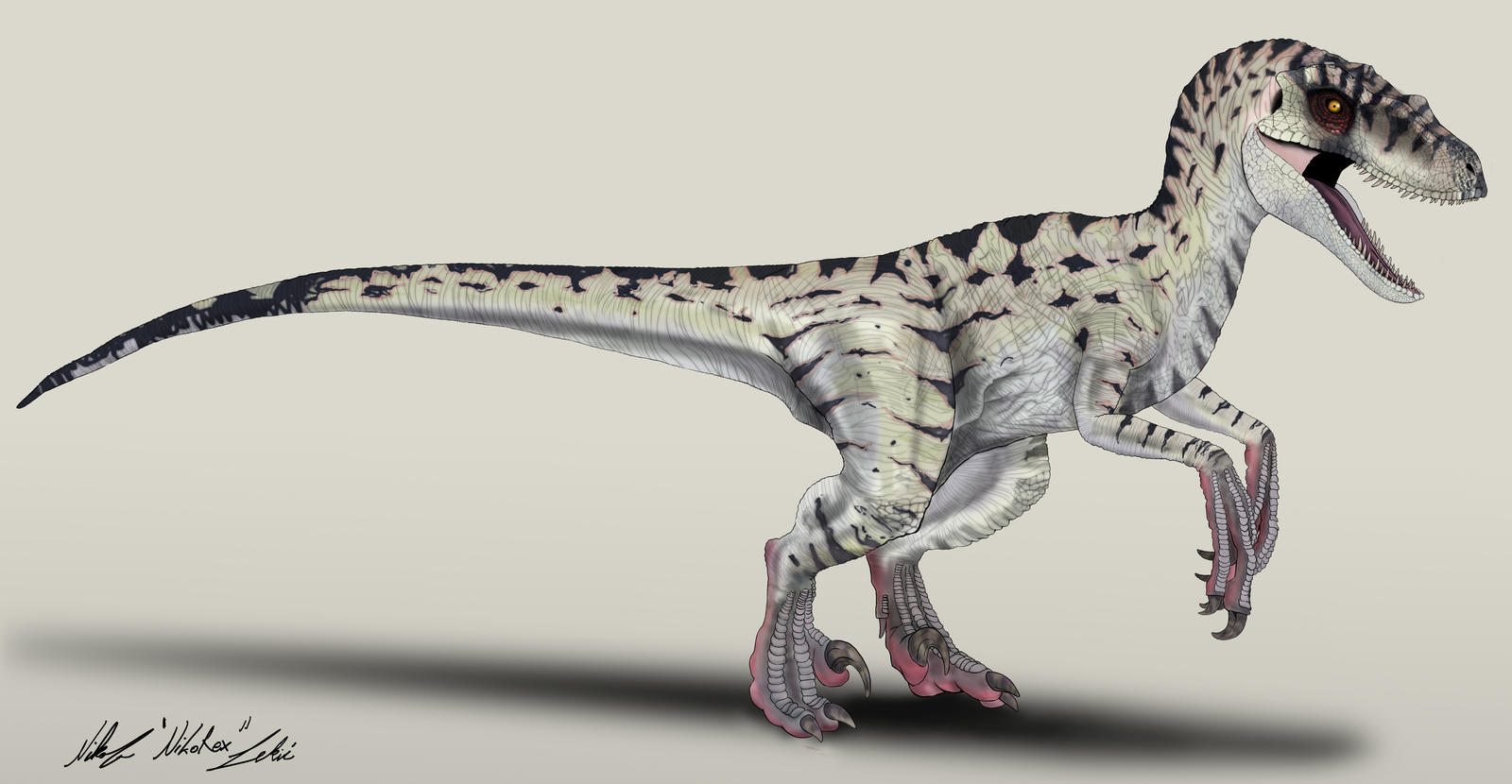 jurassic_park_____velociraptor_female_by_nikorex_dc6d26h-fullview.jpg