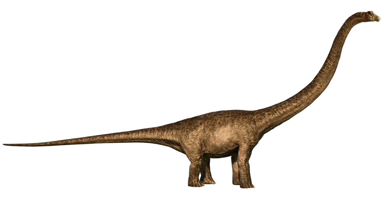 Jurassic_park_mamenchisaurus_render_1_by_tsilvadino_de76dfk-pre.png