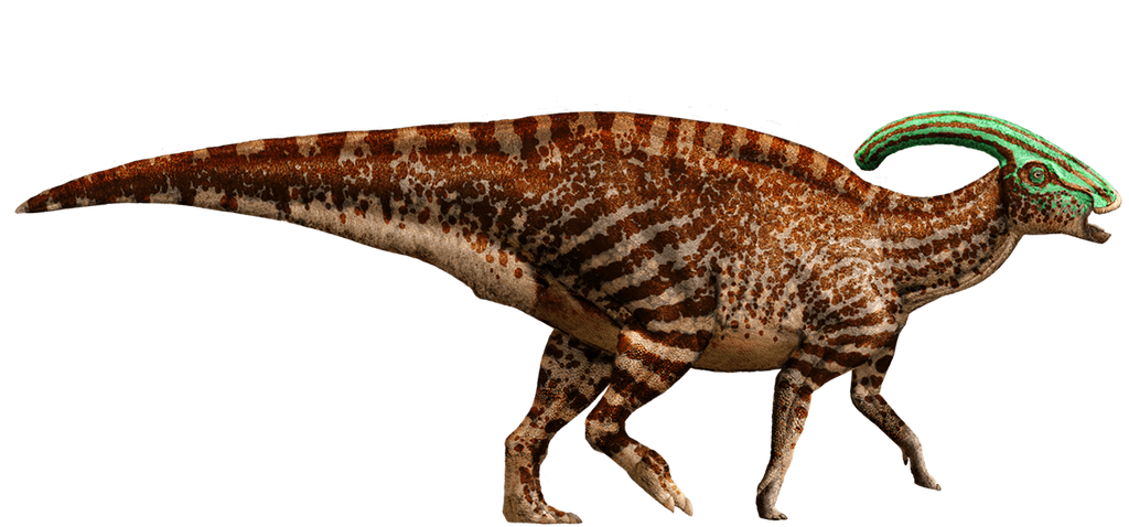 jurassic_world__parasaurolophus_by_sonichedgehog2-d8qgyf7.png