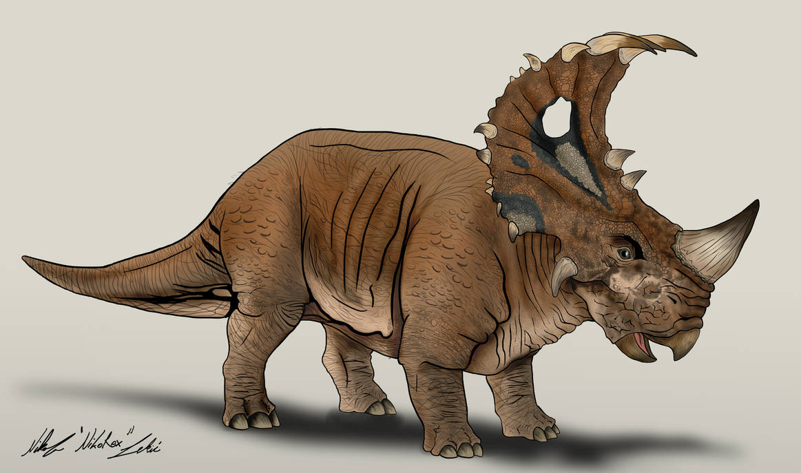 jurassic_world_camp_cretaceous_sinoceratops_v1_by_nikorex_deb7v94-pre.jpg
