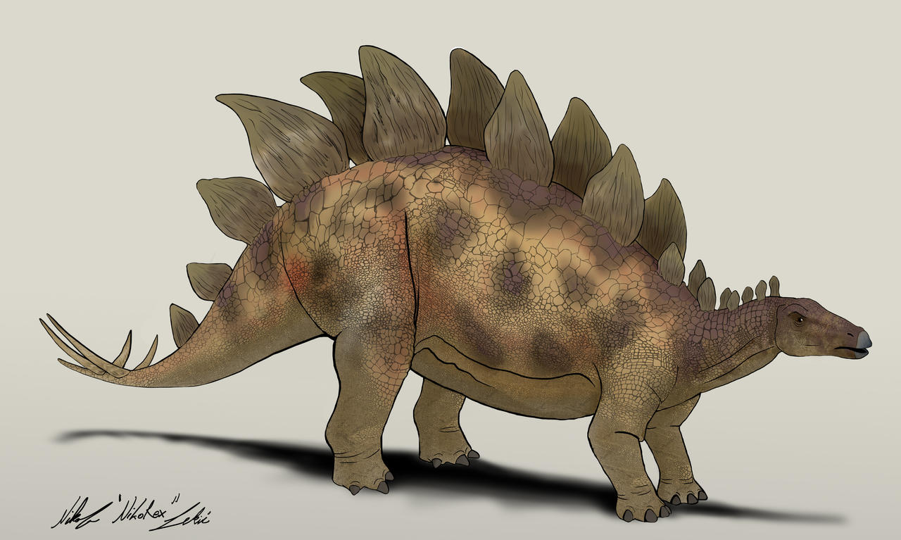 jurassic_world_camp_cretaceous_stegosaurus_v_3_by_nikorex_dec6moy-fullview.jpg