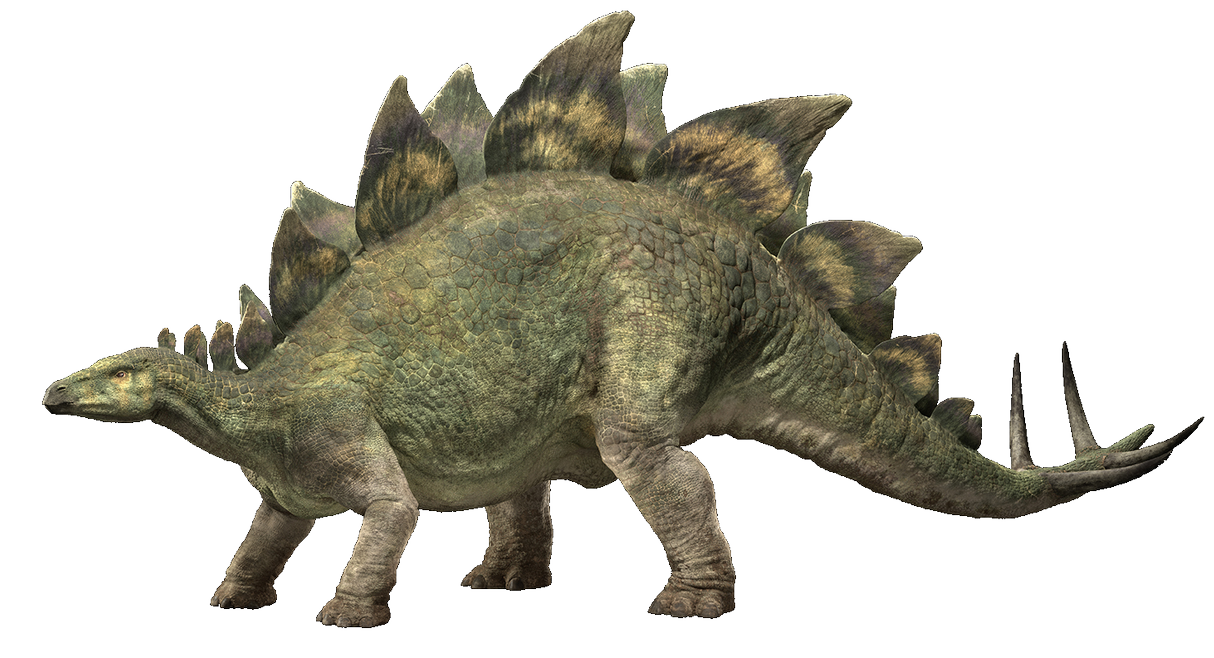 jurassic_world_fallen_kingdom__stegosaurus_v4_by_sonichedgehog2_dco06sh-pre.png