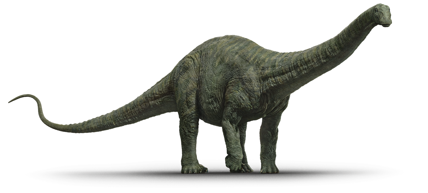 Jurassic_World_Fallen_Kingdom_Apatosaurus_v2_by_Sonichedgehog2-DCFC65I.png