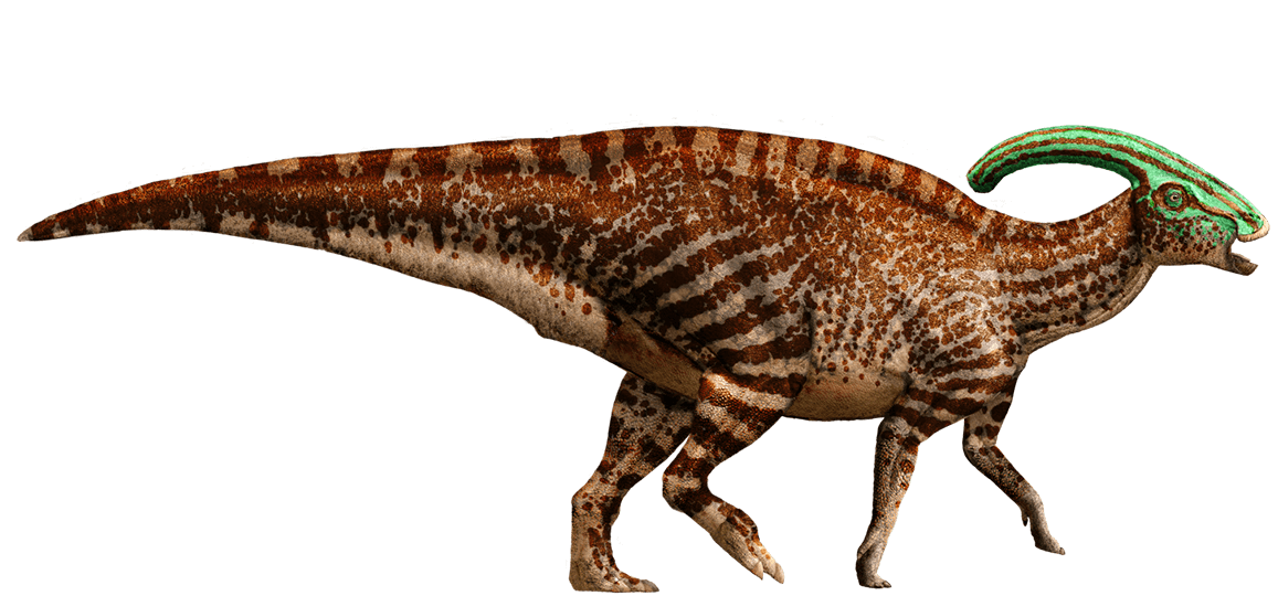 jurassic_world_parasaurolophus_by_sideswipe217_d8qhlb3-fullview.png