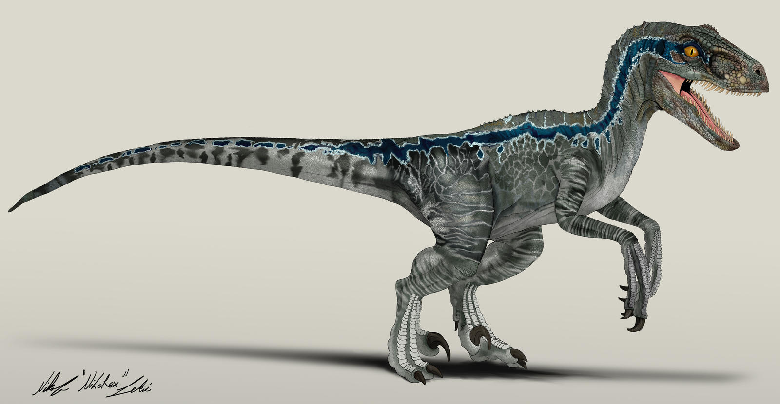 jurassic_world_velociraptor_blue_by_nikorex_dc8mup3-fullview.jpg