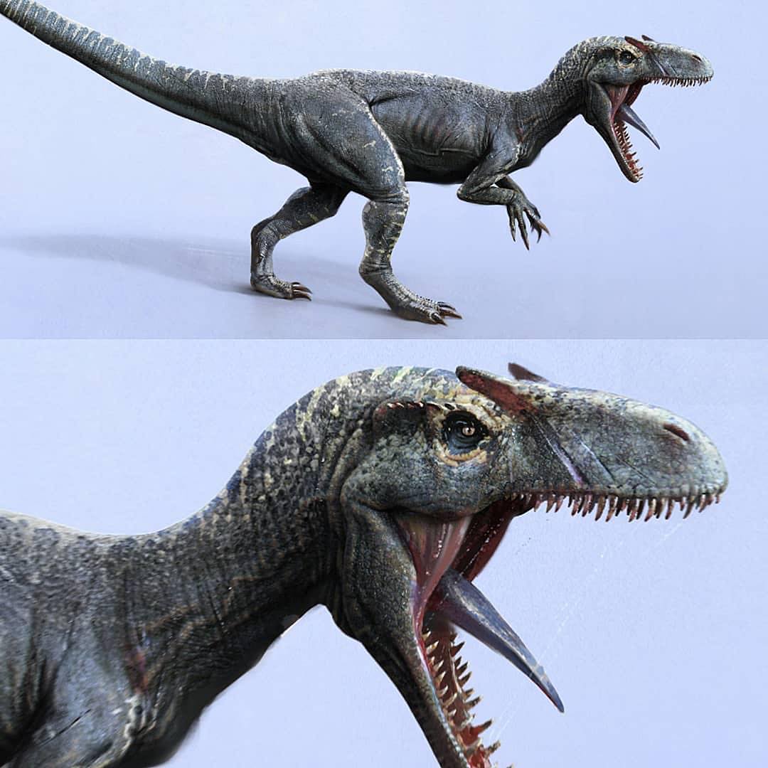 Juvenile Allosaurus.jpeg