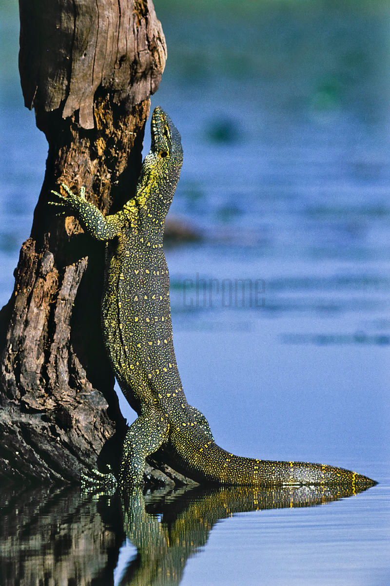 JW_100411_0001_uxga.jpg