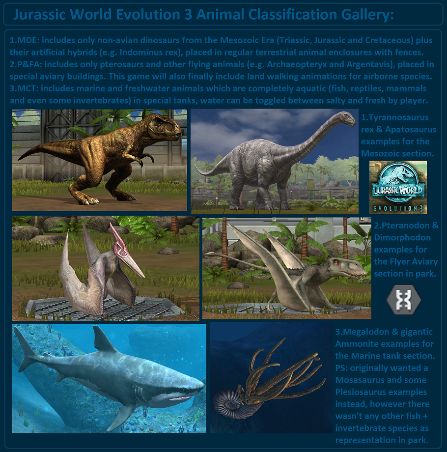 JWE 3 (5).png