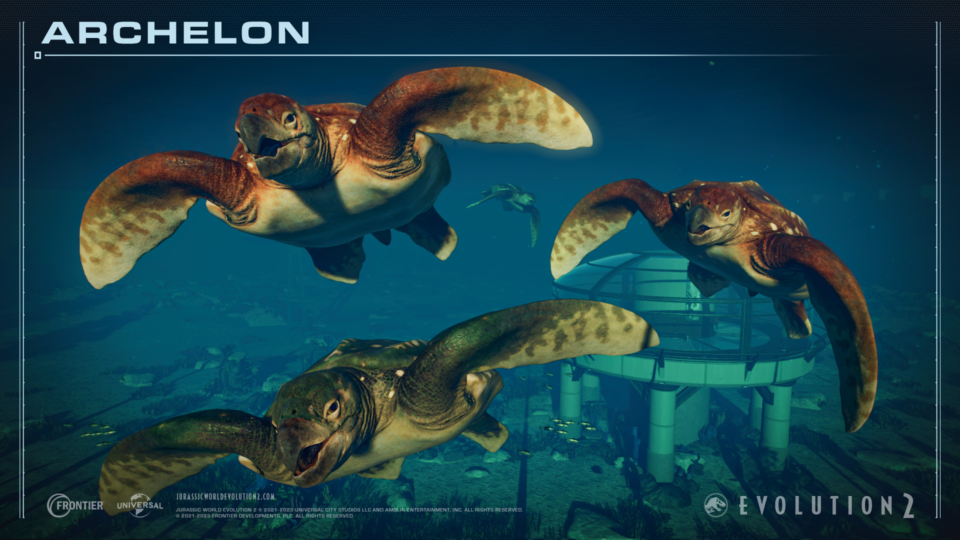 Group of Archelon - Prehistoric Marine Species Pack