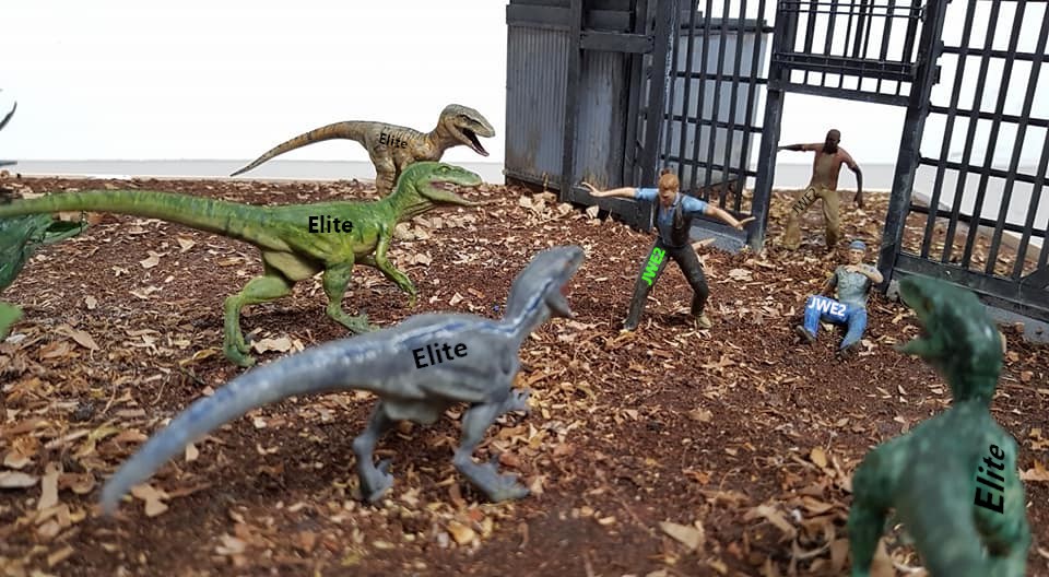 jwe_elite.jpg