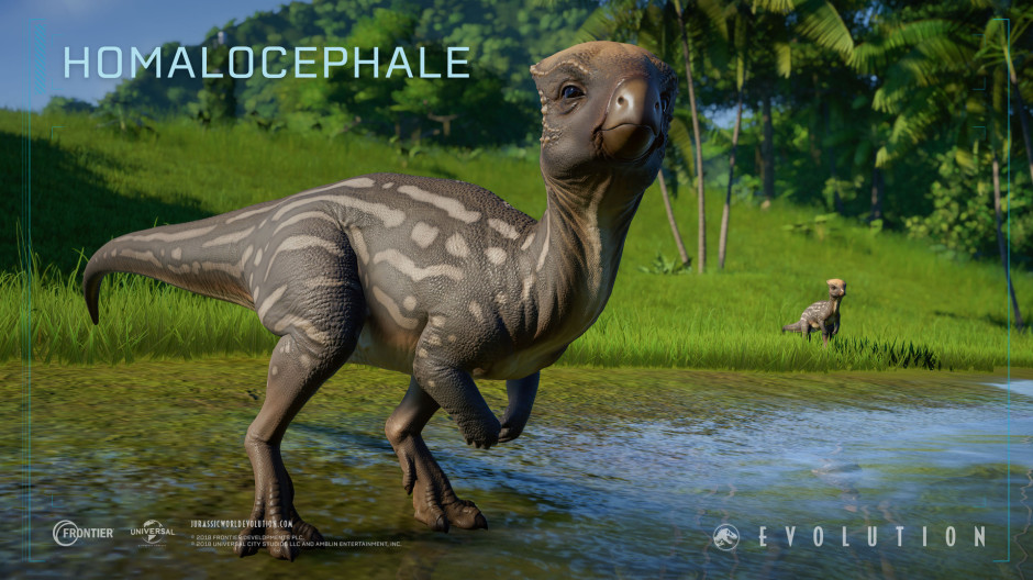 JWE_HDP_screenshots_Homalocephale_1.jpg