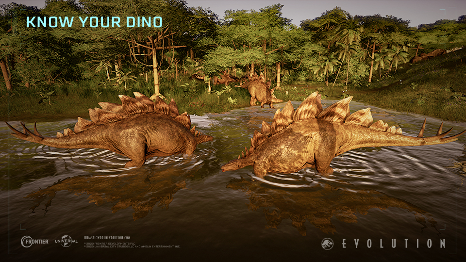 JWE_Stegosaurus_Know_Your_Dino_960x540.jpg