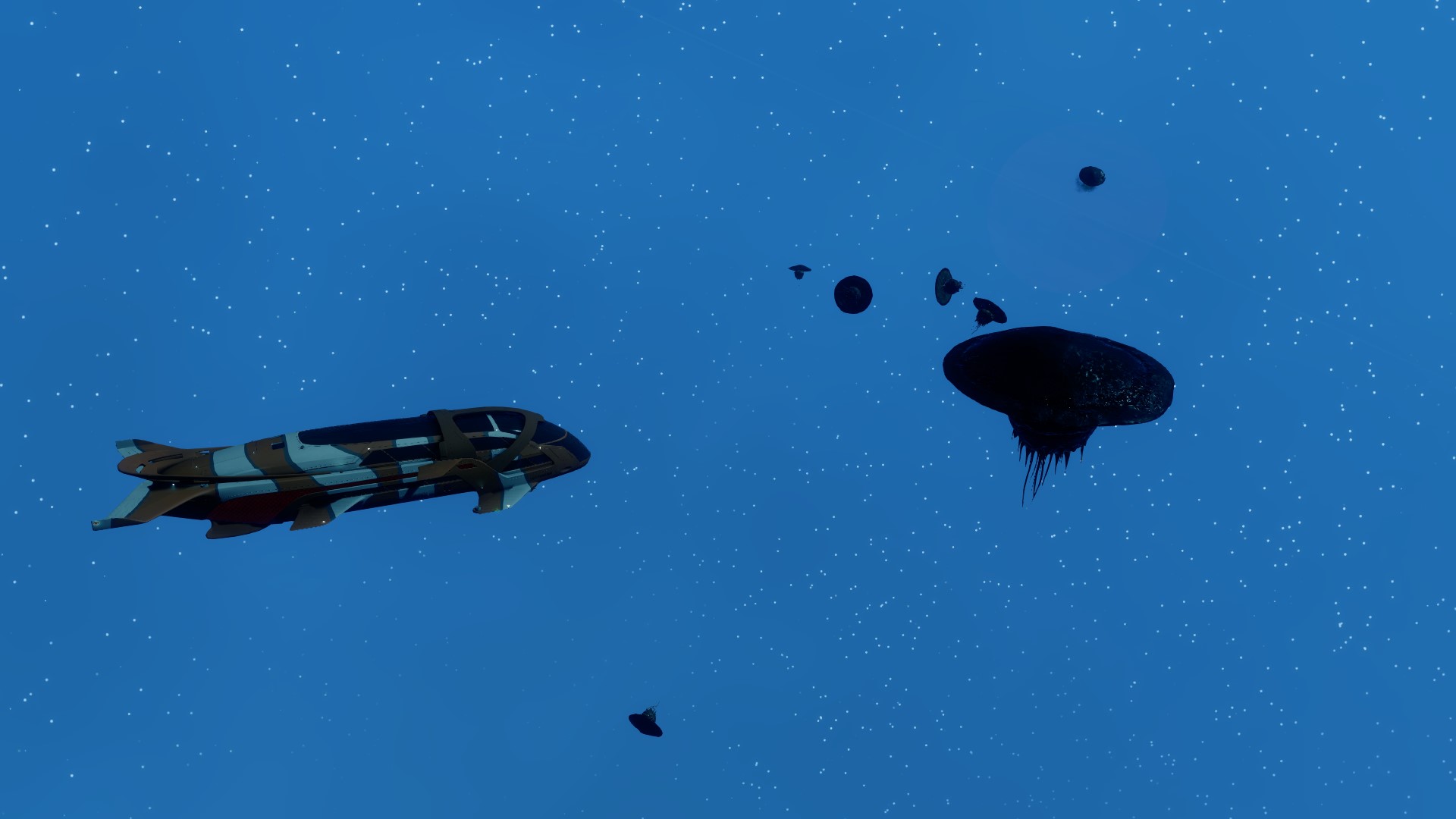 kf_umbrella_mollusc01.jpg
