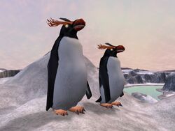 Killer_Penguin_-_Superjakob.jpg