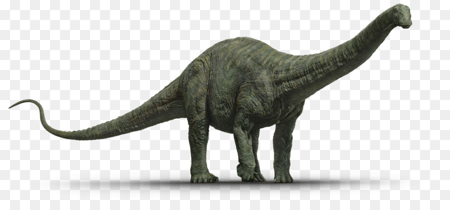 kisspng-apatosaurus-tyrannosaurus-stegosaurus-diplodocus-t-alan-grant-jurassic-park-5b4e6f903a...jpg