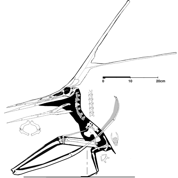KJ2-588.jpg
